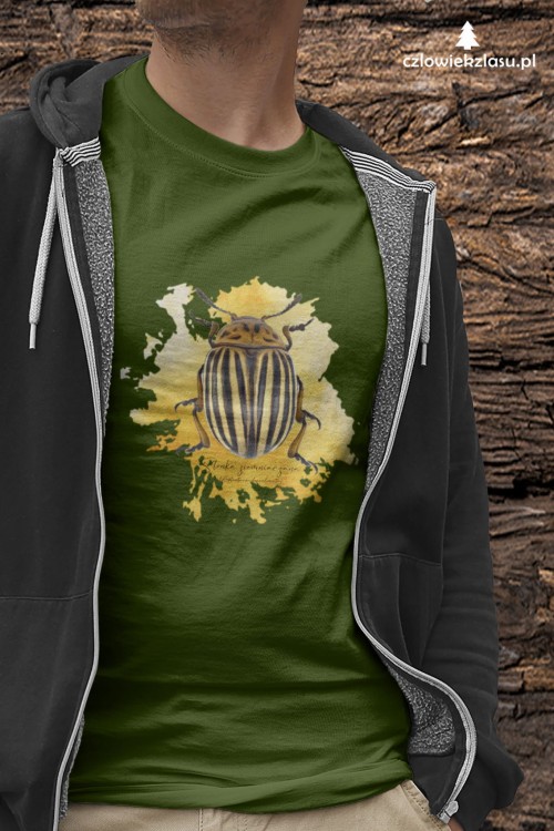 Stonka ziemniaczana - Leptinotarsa decemlineata - Prezent dla entomologa - Prezent dla przyrodnika - Koszulka