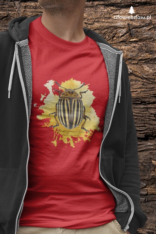 Stonka ziemniaczana - Leptinotarsa decemlineata - Prezent dla entomologa - Prezent dla przyrodnika - Koszulka