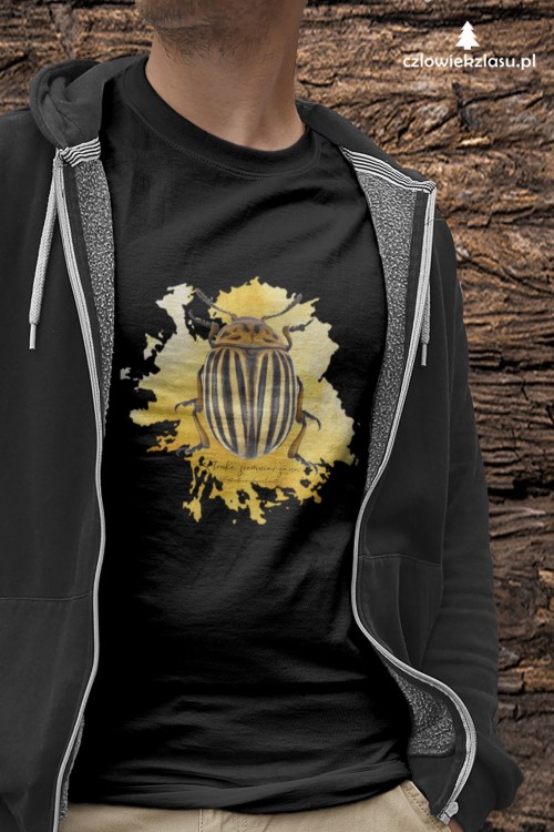 Stonka ziemniaczana - Leptinotarsa decemlineata - Prezent dla entomologa - Prezent dla przyrodnika - Koszulka