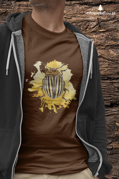 Stonka ziemniaczana - Leptinotarsa decemlineata - Prezent dla entomologa - Prezent dla przyrodnika - Koszulka