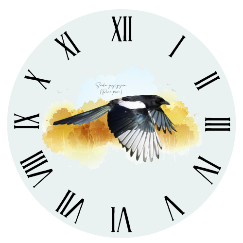 Sroka pospolita - Pica pica - Prezent dla ornitologa - Prezent dla przyrodnika - Zegar