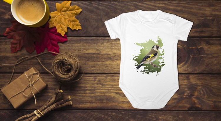 Szczygieł - Carduelis carduelis - Prezent dla ornitologa - Prezent dla przyrodnika - Body - Bodziak