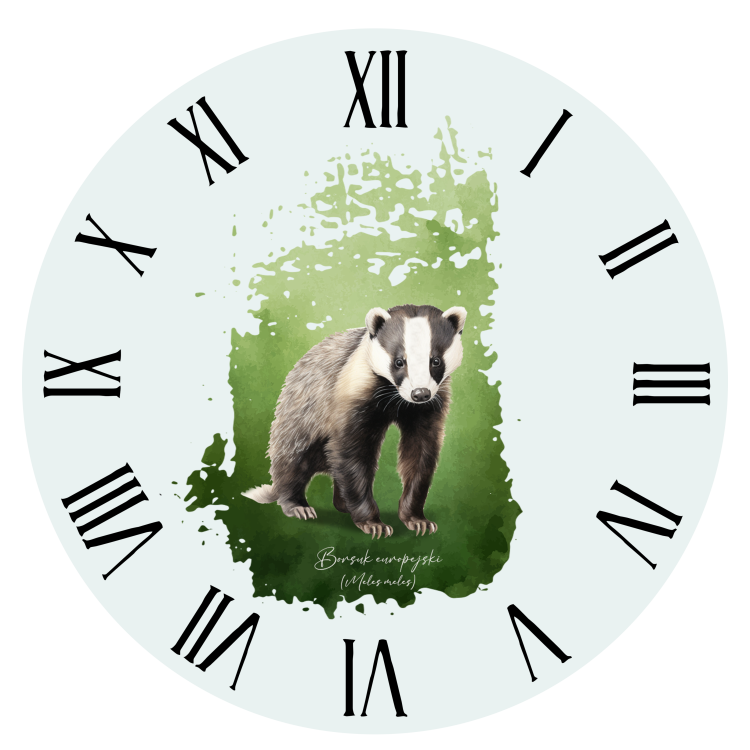 Borsuk europejski, Meles meles, Prezent dla przyrodnika, Zegar z borsukiem, Zegar, Prezent dla zoologa, Prezent dla miłośnika przyrody, Zwierzęta Polski, Polskie zwierzęta, Człowiek z lasu