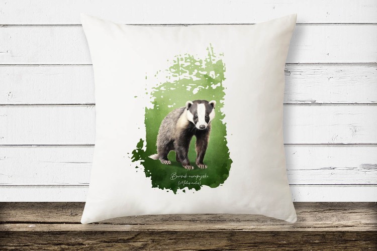 Borsuk europejski, Meles meles, Prezent dla przyrodnika, Poduszka z borsukiem, Prezent dla zoologa, Prezent dla miłośnika przyrody, Zwierzęta Polski, Polskie zwierzęta, Człowiek z lasu