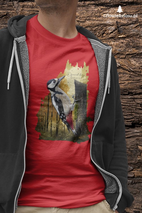 Dzięcioł duży - Dendrocopos major - Prezent dla ornitologa - Koszulka