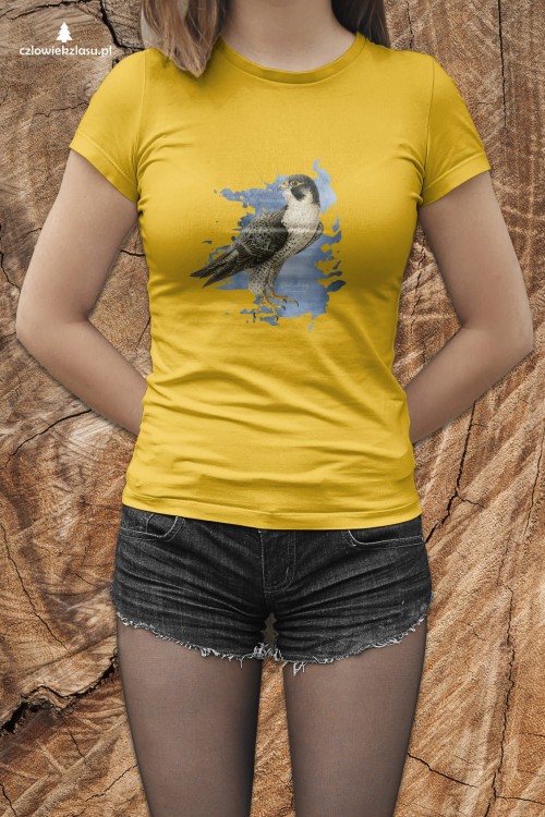Sokół wędrowny - Falco peregrinus - Prezent dla ornitologa - Prezent dla przyrodnika - Koszulka