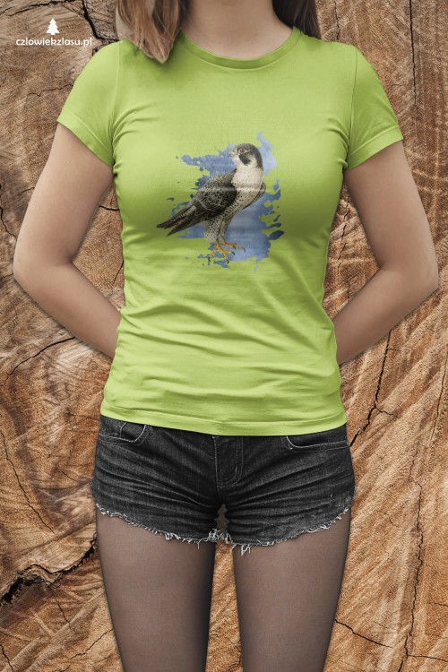 Sokół wędrowny - Falco peregrinus - Prezent dla ornitologa - Prezent dla przyrodnika - Koszulka