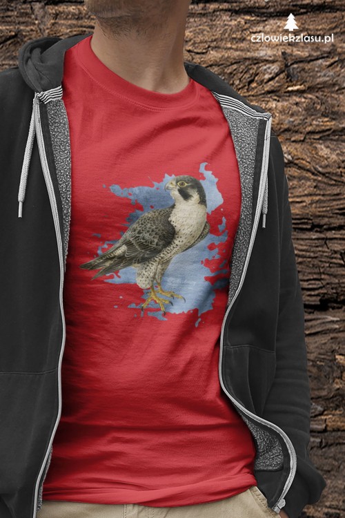 Sokół wędrowny - Falco peregrinus - Prezent dla ornitologa - Prezent dla przyrodnika - Koszulka