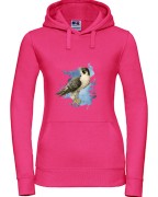 Sokół wędrowny - Falco peregrinus - Prezent dla ornitologa - Prezent dla przyrodnika - Bluza