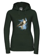 Sokół wędrowny - Falco peregrinus - Prezent dla ornitologa - Prezent dla przyrodnika - Bluza