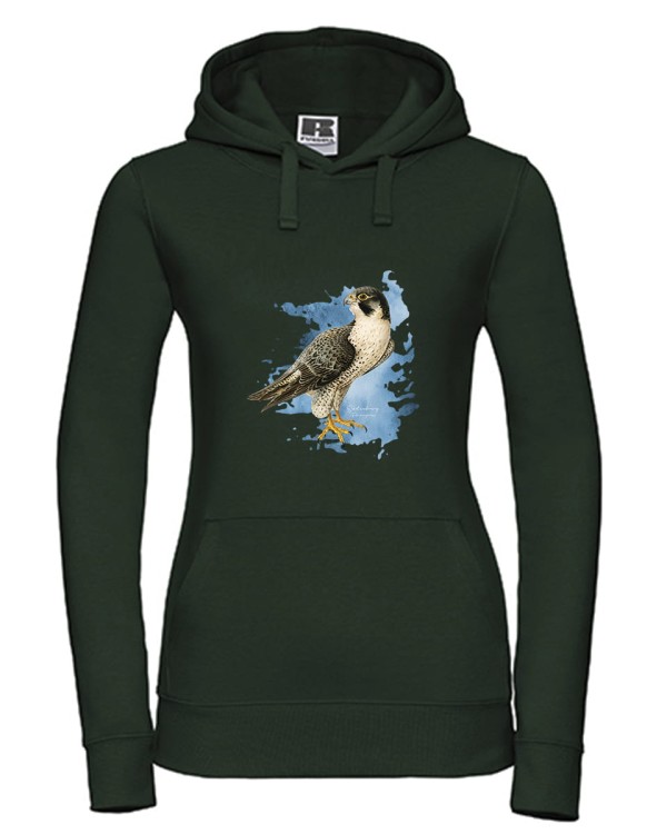 Sokół wędrowny - Falco peregrinus - Prezent dla ornitologa - Prezent dla przyrodnika - Bluza