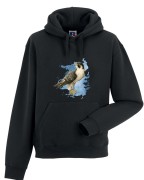 Sokół wędrowny - Falco peregrinus - Prezent dla ornitologa - Prezent dla przyrodnika - Bluza