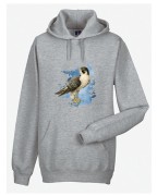 Sokół wędrowny - Falco peregrinus - Prezent dla ornitologa - Prezent dla przyrodnika - Bluza