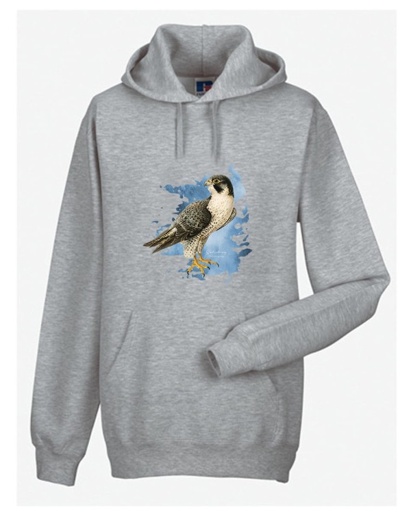 Sokół wędrowny - Falco peregrinus - Prezent dla ornitologa - Prezent dla przyrodnika - Bluza