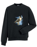 Sokół wędrowny - Falco peregrinus - Prezent dla ornitologa - Prezent dla przyrodnika - Bluza