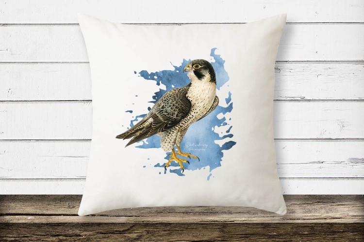 Sokół wędrowny - Falco peregrinus - Prezent dla ornitologa - Prezent dla sokolnika - Poduszka