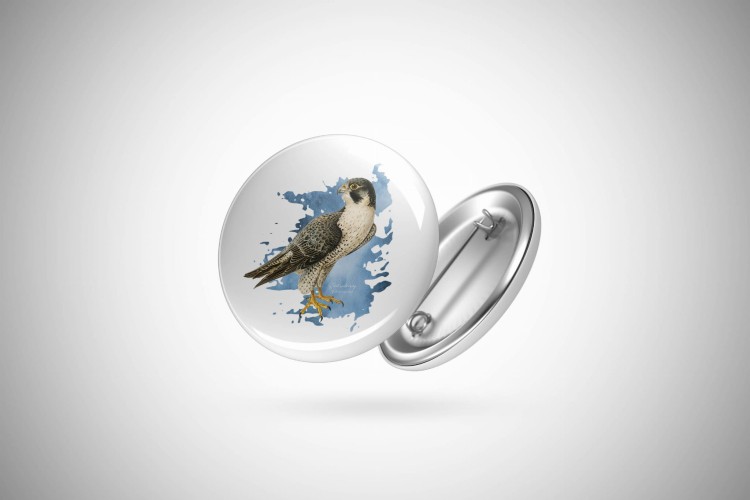 Sokół wędrowny - Falco peregrinus - Prezent dla ornitologa - Prezent dla sokolnika - Przypinka