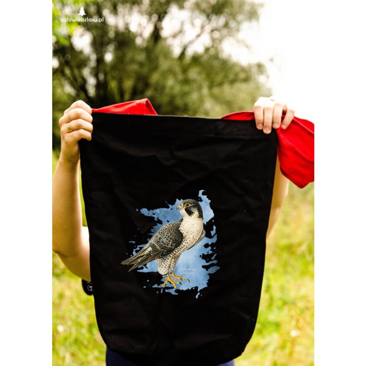 Sokół wędrowny - Falco peregrinus - Prezent dla ornitologa - Prezent dla sokolnika - Torba na ramię