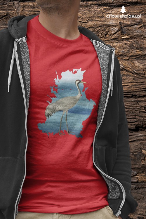 Żuraw zwyczajny - Żuraw - Grus grus - prezent dla ornitologa - Prezent dla przyrodnika - Koszulka