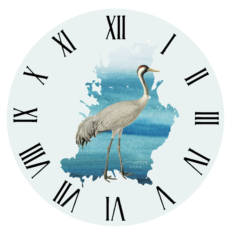 Żuraw zwyczajny - Żuraw - Grus grus - prezent dla ornitologa - Prezent dla przyrodnika - Zegar