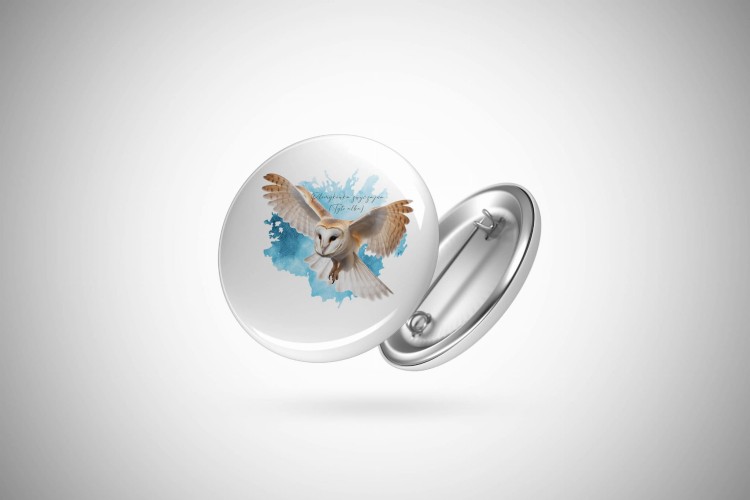 Płomykówka zwyczajna - Tyto alba - Sowa - Prezent dla ornitologa - Przypinka