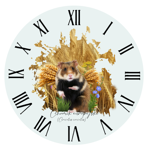 Chomik europejski - Cricetus cricetus - Pies ziemny - Prezent dla przyrodnika - Zegar - Zegar z chomikiem - Człowiek z lasu