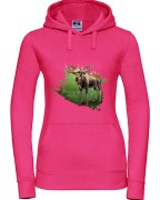 Łoś euroazjatycki - Alces alces - Łoś - Prezent dla przyrodnika - Bluza z łosiem - Człowiek z lasu