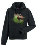 Łoś euroazjatycki - Alces alces - Łoś - Prezent dla przyrodnika - Bluza z łosiem - Człowiek z lasu