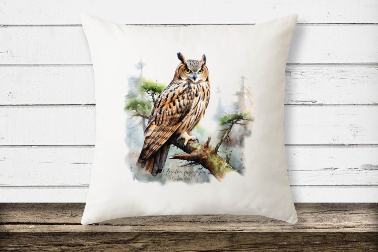 Uszatka - Asio otus - Prezent dla ornitologa - Prezent dla przyrodnika - Poduszka z sową - Poduszka z uszatką - Uszatka zwyczajna - Człowiek z lasu