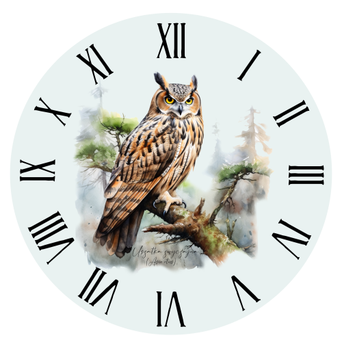 Uszatka - Asio otus - Prezent dla ornitologa - Prezent dla przyrodnika - Zegar z uszatką - Uszatka zwyczajna - Sowa - Sowy Polski - Człowiek z lasu