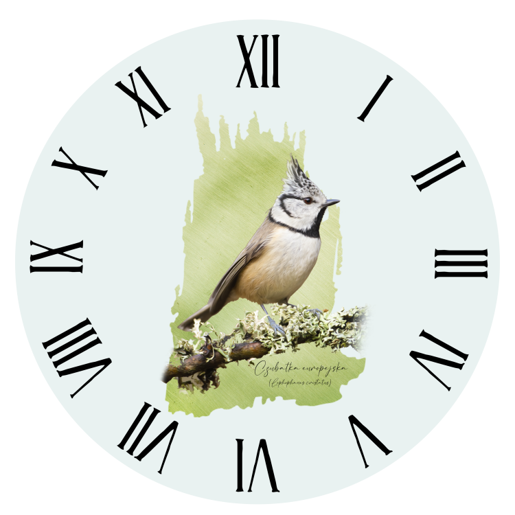 Czubatka europejska - Lophophanes cristatus - Sikorka - Sikorka czubatka - Prezent dla ornitologa - Zegar