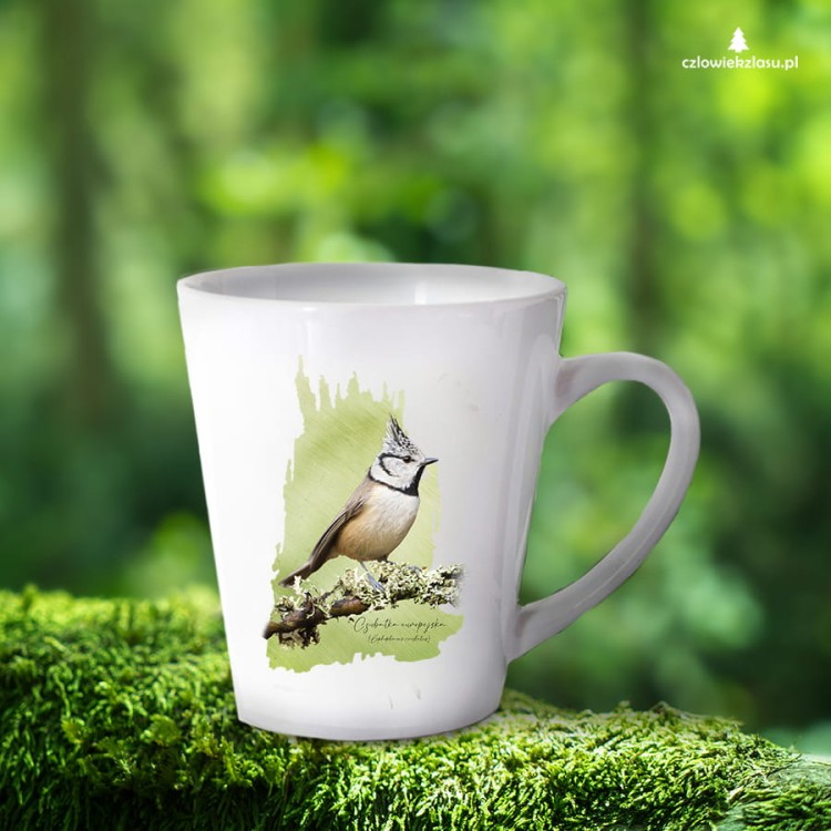 Czubatka europejska - Lophophanes cristatus - Sikorka - Sikorka czubatka - Prezent dla ornitologa - Kubek latte