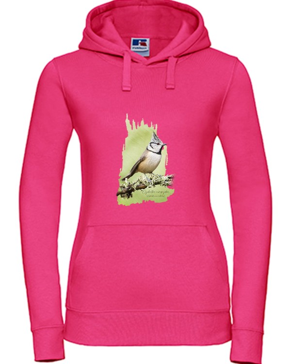 Czubatka europejska - Lophophanes cristatus - Sikorka - Sikorka czubatka - Prezent dla ornitologa - Bluza