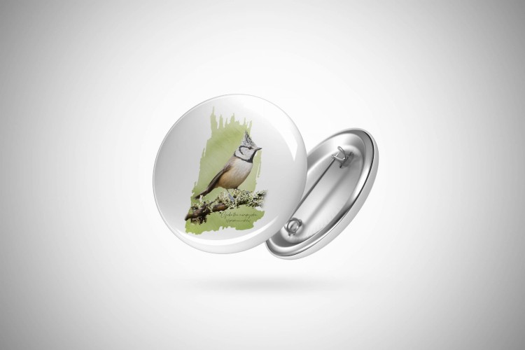 Czubatka europejska - Lophophanes cristatus - Sikorka - Sikorka czubatka - Prezent dla ornitologa - Przypinka