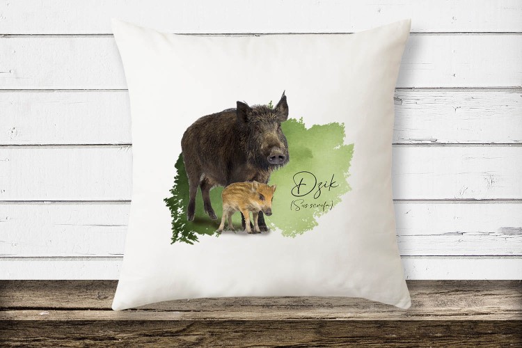 Dzik - Sus scrofa - Prezent dla przyrodnika - Prezent dla zoologa - Poduszka