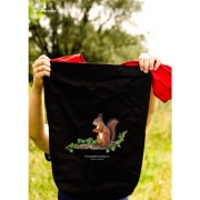 Wiewiórka pospolita - Sciurus vulgaris - Prezent dla przyrodnika - Wiewiórka #2 - Torba na ramię