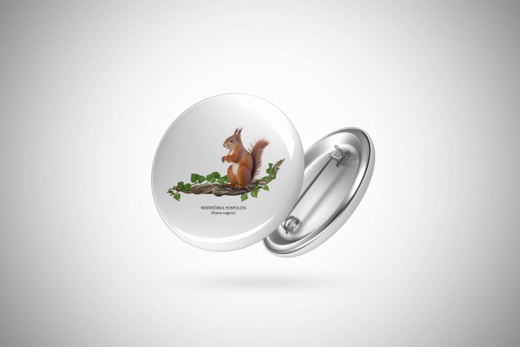 Wiewiórka pospolita - Sciurus vulgaris - Prezent dla przyrodnika - Wiewiórka #2 - Przypinka