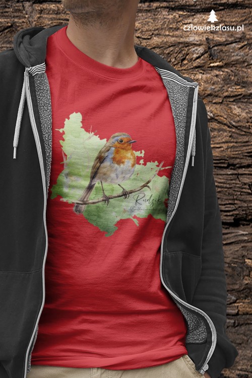 Rudzik - Erithacus rubicola - Raszka - Prezent dla ornitologa - Rudzik #2 - Koszulka