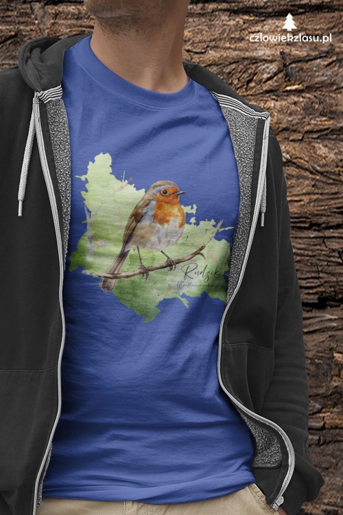 Rudzik - Erithacus rubicola - Raszka - Prezent dla ornitologa - Rudzik #2 - Koszulka
