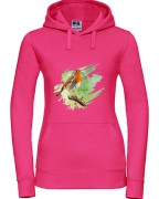 Rudzik - Erithacus rubicola - Raszka - Prezent dla ornitologa - Bluza