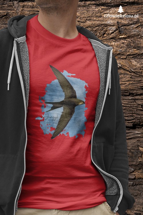 Jerzyk zwyczajny - Apus apus - Jerzyk ptak - Prezent dla ornitologa - Prezent dla przyrodnika - Koszulka