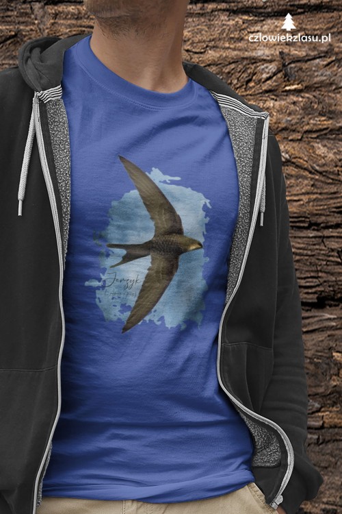 Jerzyk zwyczajny - Apus apus - Jerzyk ptak - Prezent dla ornitologa - Prezent dla przyrodnika - Koszulka