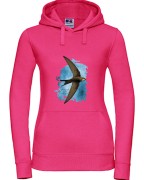 Jerzyk zwyczajny - Apus apus - Jerzyk ptak - Prezent dla ornitologa - Prezent dla przyrodnika - Bluza