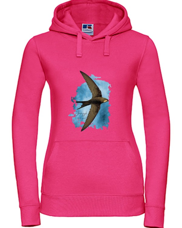 Jerzyk zwyczajny - Apus apus - Jerzyk ptak - Prezent dla ornitologa - Prezent dla przyrodnika - Bluza