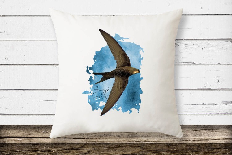 Jerzyk zwyczajny - Apus apus - Jerzyk ptak - Prezent dla ornitologa - Prezent dla przyrodnika - Poduszka