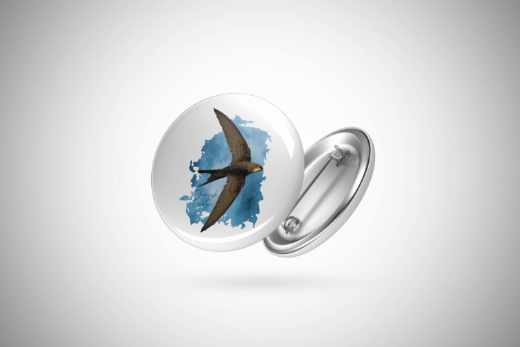 Jerzyk zwyczajny - Apus apus - Jerzyk ptak - Prezent dla ornitologa - Prezent dla przyrodnika - Przypinka