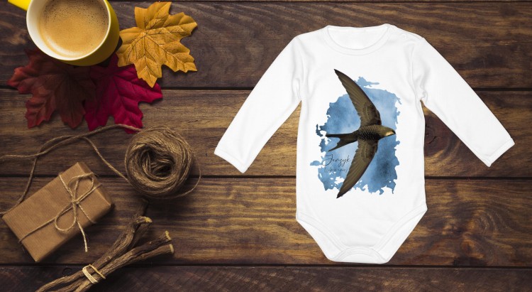 Jerzyk zwyczajny - Apus apus - Jerzyk ptak - Prezent dla ornitologa - Prezent dla przyrodnika - Body - Bodziak