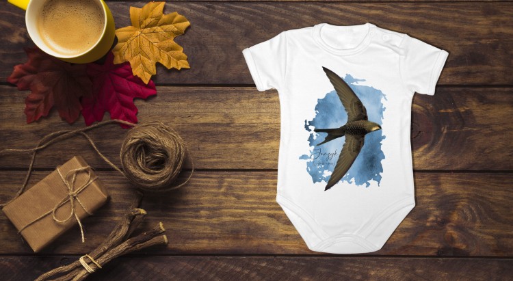 Jerzyk zwyczajny - Apus apus - Jerzyk ptak - Prezent dla ornitologa - Prezent dla przyrodnika - Body - Bodziak