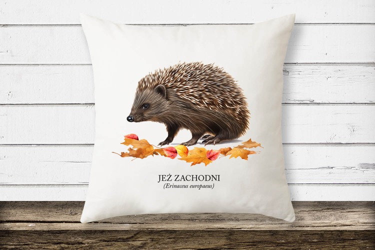 Jeż zachodni - Erinaceus europaeus - Jeż europejski - Jeż - Prezent dla przyrodnika - Prezent dla miłośnika jeży - Poduszka