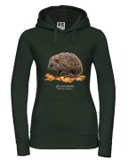 Jeż zachodni - Erinaceus europaeus - Jeż europejski - Jeż - Prezent dla przyrodnika - Prezent dla miłośnika jeży - Bluza